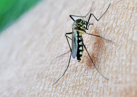 Rio de Janeiro confirma primeira morte por dengue