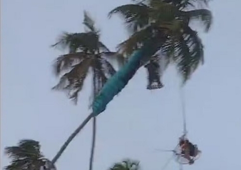 Paramotor bate em coqueiro e piloto fica pendurado a 10 metros de altura
