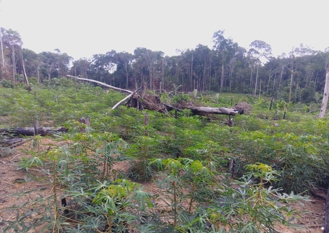 Desocupação de área rural é suspensa após ação da Defensoria do Amazonas