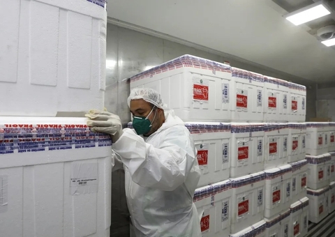 Mais de R$ 1 bilhão em vacinas contra Covid da gestão Bolsonaro são destruídas