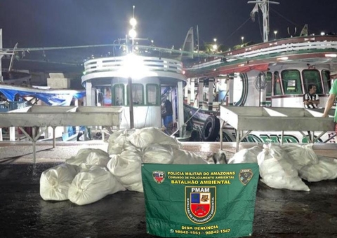 Mais de uma tonelada de pescado ilegal é apreendida em feira de Manaus