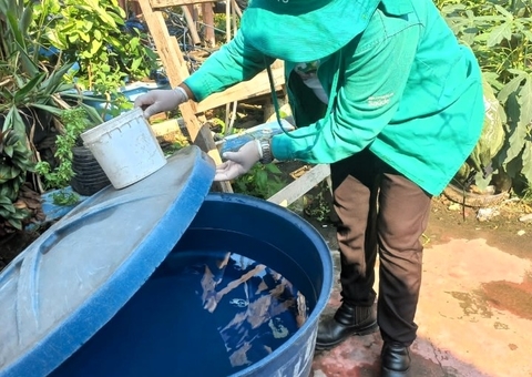 Dengue: Amazonas registrou 12 mortes e 16,9 mil infectados entre janeiro e dezembro