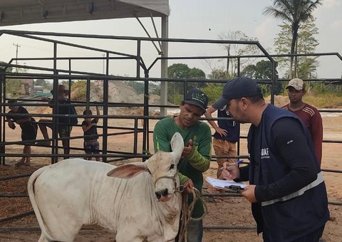 Amazonas torna obrigatória vacinação contra raiva em herbívoros em Urucará e Urucurituba