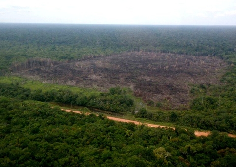 Ibama constata avanço de desmate e 225 áreas degradadas na BR-319 