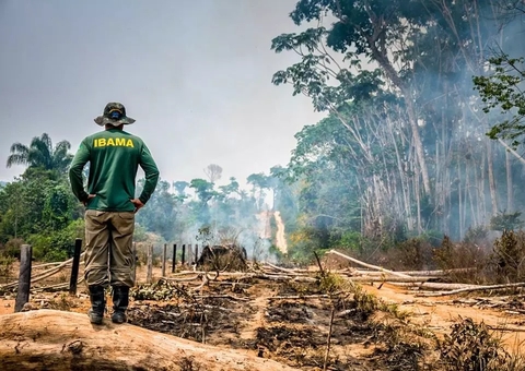 Desmatamento na Amazônia cai pela metade em 2023