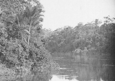‘Amazonas, O Maior Rio do Mundo’ será exibido todas às quartas no Cine Casarão