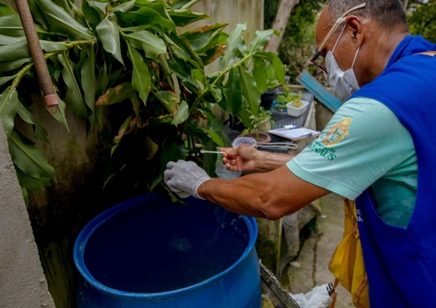 Manaus divulga primeira edição de Boletim Epidemiológico de Arboviroses