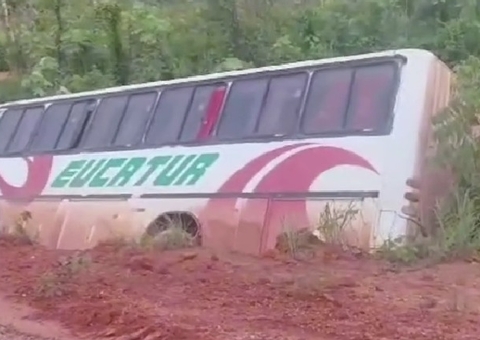 Vídeo: ônibus de turismo tomba na BR-319