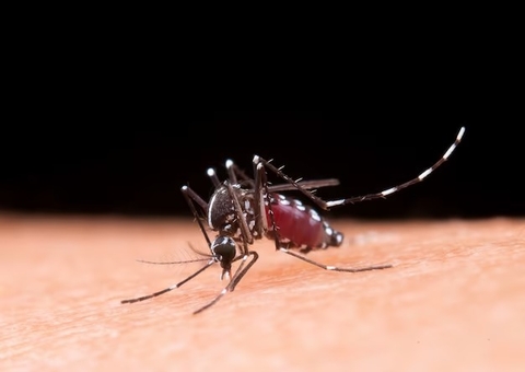 Casos de chikungunya e zika diminuem no Brasil, mas ainda preocupam