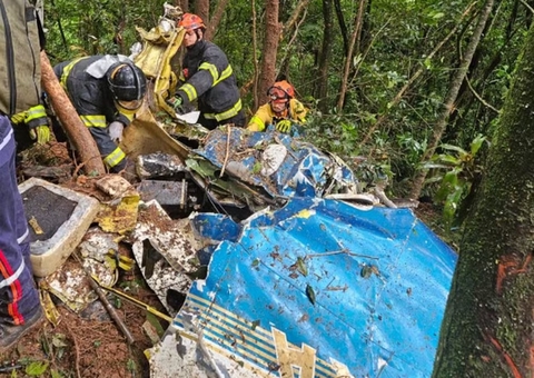 Avião cai em área de mata e deixa dois mortos em São Paulo