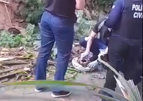 Crânio humano é encontrado em área de mata na Cidade Nova