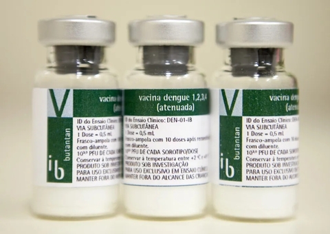 Vacina contra dengue do Butantan será enviada à Anvisa e tem data para chegar no mercado