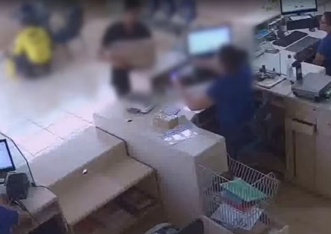 De jiboia a jacaré: Animais são achados em encomendas dos correios na BR-319