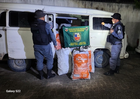 Carvão ilegal avaliado em R$ 30 mil é apreendido na AM-010