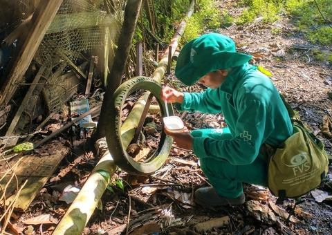 Amazonas registra mais de 530 casos de dengue em uma semana