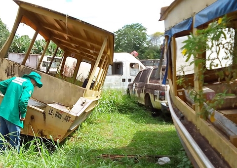 Amazonas registra 2.232 casos de dengue e 4 casos de Febre do Mayaro são confirmados 