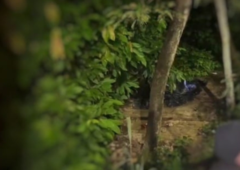 Com pescoço amarrado, corpo  é encontrado em área de mata no Dom Pedro