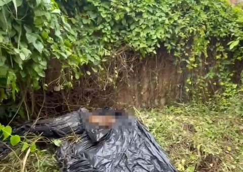 Trabalhadores encontram ossada humana enquanto capinavam terreno em Manaus