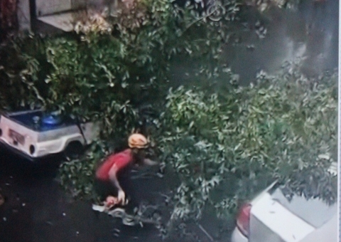 Árvore cai sobre motociclista durante forte chuva em Manaus