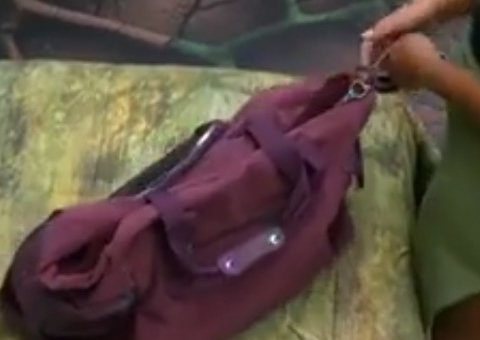 Sister encontra bolsa com 'Poder Falso' no BBB24