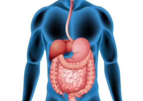 Primeiro remédio contra doença hepática gordurosa grave é aprovado nos EUA