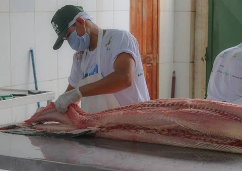 Feira da FAS terá 10 toneladas do pescado à venda na Semana Santa em Manaus