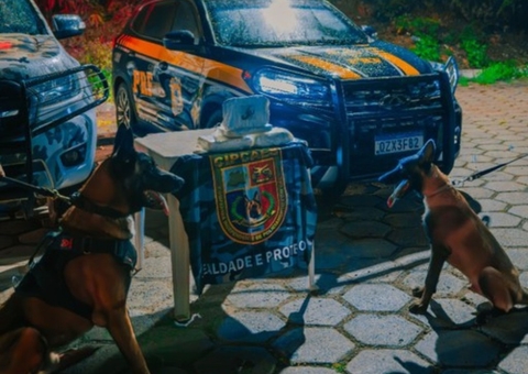 Passageira é presa com drogas escondidas em ônibus na BR-174