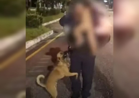 Bebê de 1 ano foge de casa e é encontrado sob proteção de cachorro