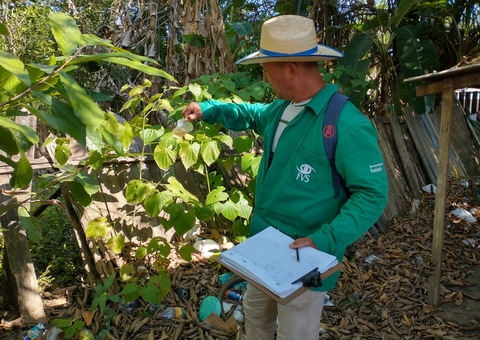 Amazonas registra mais de 2,4 mil casos de Febre Oropouche 