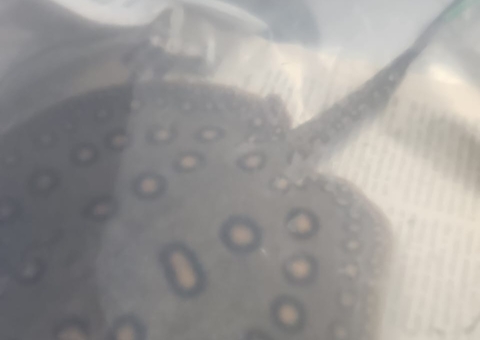 Mulher é presa ao ser flagrada contrabandeando arraias de Manaus para São Paulo