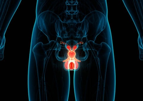 Câncer de pênis: Brasil tem 600 amputações ao ano; falta de higiene está ligada a casos