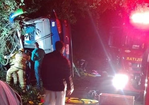 Ônibus desvia de cachorros em rodovia, capota e deixa sete mortos