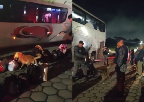 Vídeo: Passageiro é preso com cocaína e maconha em ônibus de viagem na BR-174