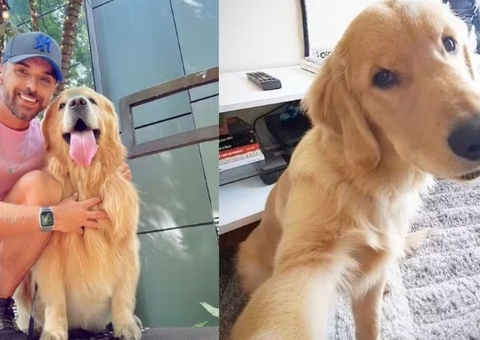 Golden morre após ser embarcado em voo errado da Gol 