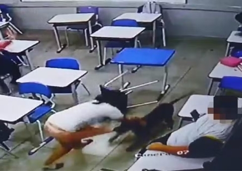 Pitbull invade escola e ataca estudantes dentro de sala de aula