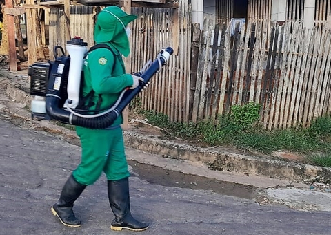 Com mais de 8 mil casos, Amazonas é o 8º estado com menor incidência de dengue