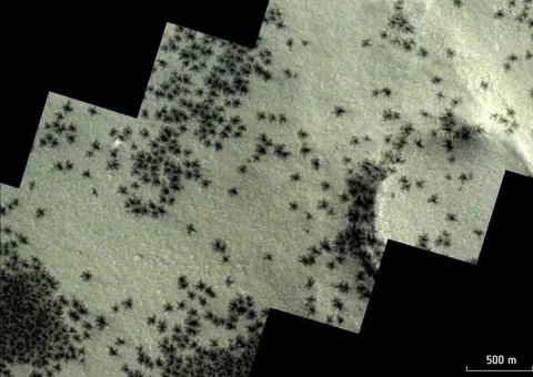 Sonda captura imagens de aranhas em Marte; saiba o que realmente elas são