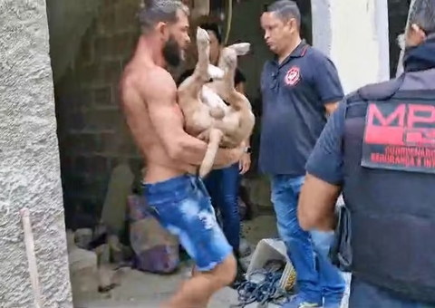 Pitbull ataca promotor durante operação e é morto a tiros