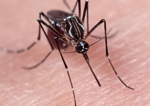 Casos de dengue ultrapassam 4 milhões no Brasil