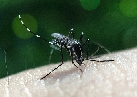 Brasil registra mais de 2 mil mortes por dengue