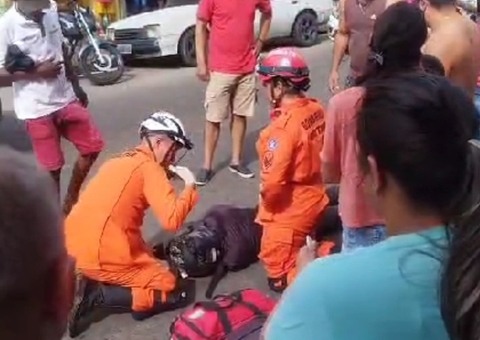 Motociclista sofre grave acidente ao atropelar cachorro na Compensa; vídeo
