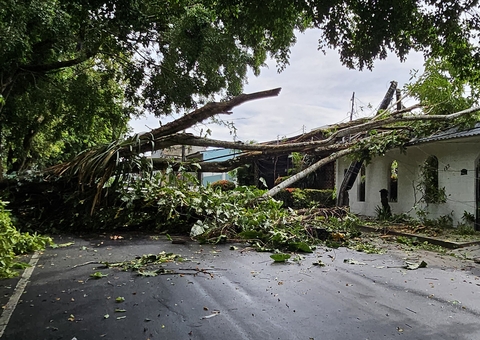 Árvore desaba durante temporal, atinge casa e bloqueia rua no Conjunto Petros