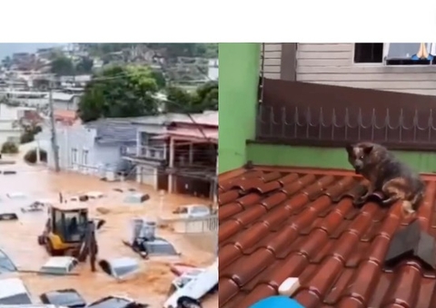 "Fui pegar boneca e era um bebê mort0" relatos de tragédia por chuvas em RS chocam; veja