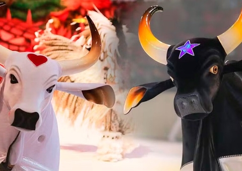 Garantido e Caprichoso serão homenageados em Brasília