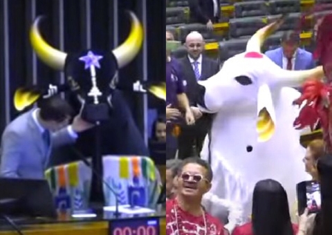 Caprichoso e Garantido são homenageados na Câmara dos Deputados