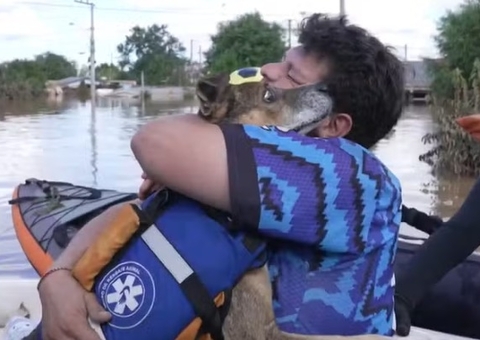 Voluntário encontra o próprio cachorro ilhado em telhado no RS e se emociona; vídeo