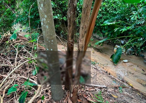 Moradores encontram corpo de homem apodrecendo em mata no João Paulo