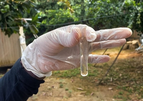 Casos de dengue chegam a 4.639 no Amazonas