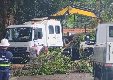 Rua fica bloqueada após galhos caírem de árvores durante chuva em Manaus