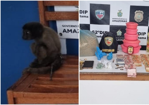 Macaco vítima de maus-tratos é resgatado das mãos de traficante no Amazonas